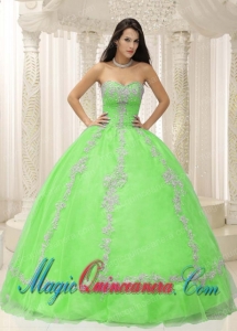 Green Sweetheart Appliques and Beaded Decorate For 2013 Popular Quinceanera Dresses