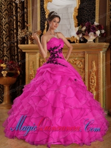 Hot Pink Ball Gown Sweetheart Floor-length Organza withAppliques Popular Quinceanera Dresses