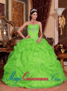 Spring Green Ball Gown Sweetheart Vintage Organza Beading Sweet 15 Dresses