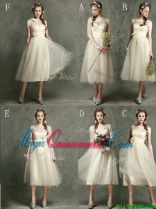New Arrivals Tea Length Tulle Dama Dress in Champagne