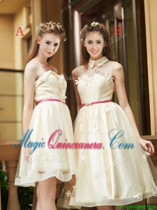 Best Selling Champagne Organza Dama Dress with Appliques and Sashes