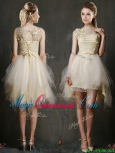 See Through Scoop Champagne Dama Dress with Appliques and Belt