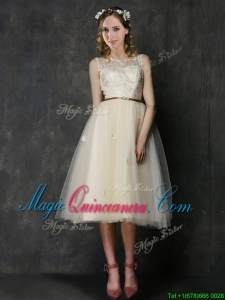 Popular Scoop Champagne Dama Dress with Sashes and Lace
