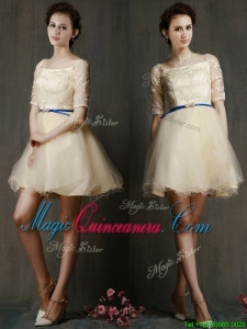 Romantic Square Half Sleeves Dama Dress with Sashes and Lace