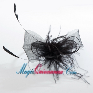 Simple Black Tulle Hairpins Birdcage Veils with Feather