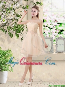 New Style Strapless Appliques and Belt Dama Dresses in Champagne