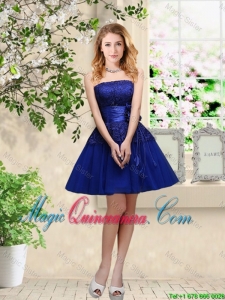 Popular Hand Made Flowers Royal Blue Dama Dresses with Appliques