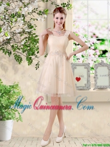 Modern Straps Short Appliques Dama Dresses in Champagne