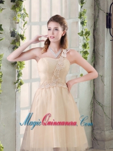 Popular A Line Appliques Dama Dress with One Shoulder