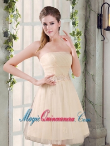 Strapless Appliques 2015 New Dama Dress in Champagne