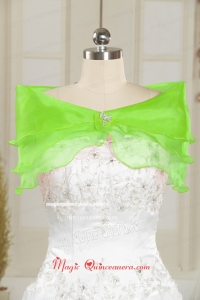 Beautiful Beading Organza Shawls in Spring Green