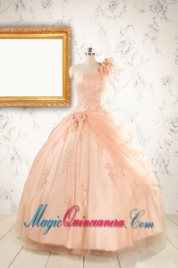 2015 Pretty One Shoulder Appliques Quinceanera Dress in Peach