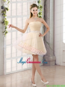 2015 Appliques Strapless A Line Mini Length Mother of the Bride Dresses