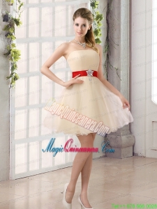 A Line Belt Strapless Mother Dress with Mini Length