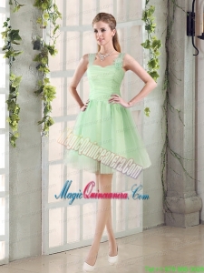 Ruching Organza A Line Straps Mother Dress for Quinceanera with Lace Up