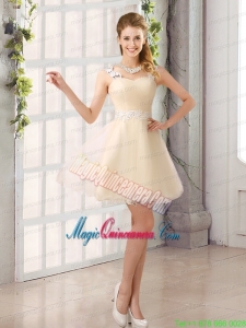 2015 Decent Straps Appliques Mother Dress for Quinceanera with Mini Length
