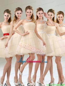 2015 Perfect A Line Organza Mother Dress for Quinceanera with Mini Length