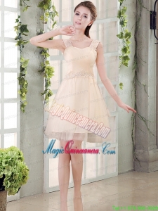 Straps A Line Champagne Mother Dress for Quinceanera with Appliques