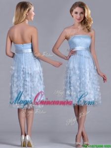 Gorgeous Empire Tea Length Applique Tulle Dama Dress in Light Blue