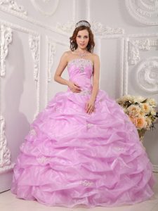 Rose Pink Organza Dresses for Quinceaneras with Appliques Pick ups