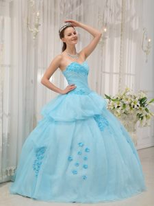 Light Blue Organza Dresses for A Quince with Appliques Pick ups