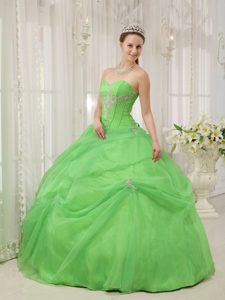 Appliqued Organza Spring Green Sweet Sixteen Quinceanera Dresses