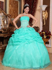 Appliques Pick ups Organza Quinceanera Gown Dresses in Turquoise