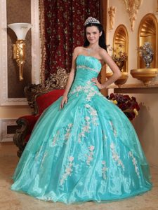 Appliques Accent Organza Quinceanera Gown Dresses in Apple Green