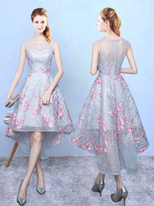 Sleeveless High Low Embroidery Zipper Court Dresses for Sweet 16 with Multi-color