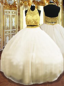 Elegant Tulle Sleeveless Floor Length 15th Birthday Dress and Beading