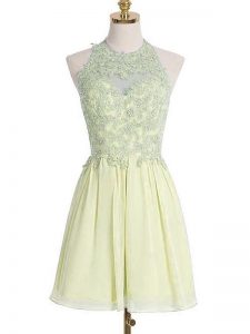 Most Popular Light Yellow Sleeveless Appliques Knee Length Dama Dress