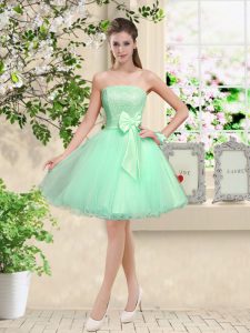 Beautiful Apple Green Sleeveless Organza Lace Up Dama Dress for Prom and Party