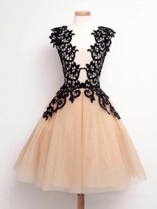 Champagne Straps Lace Up Lace Court Dresses for Sweet 16 Sleeveless