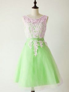 Scoop Lace Up Lace Quinceanera Court Dresses Sleeveless