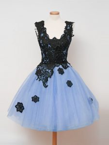 Classical Light Blue Zipper Straps Lace Quinceanera Court of Honor Dress Tulle Sleeveless