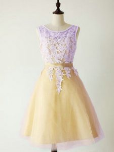 Luxurious Gold A-line Tulle Scoop Sleeveless Lace Knee Length Lace Up Dama Dress