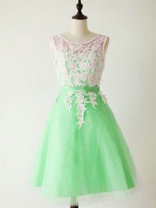 Knee Length A-line Sleeveless Apple Green Court Dresses for Sweet 16 Lace Up