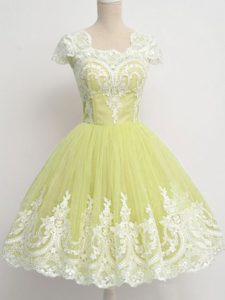 Cap Sleeves Lace Zipper Quinceanera Court Dresses
