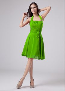 Sleeveless Knee Length Ruching Zipper Mother Of The Bride Dress