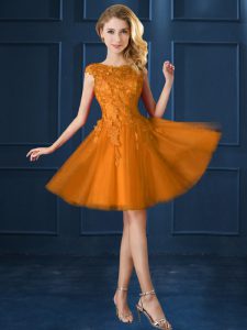 Tulle Bateau Cap Sleeves Lace Up Lace and Belt Dama Dress in Gold