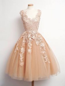 Traditional Champagne V-neck Neckline Lace Quinceanera Court Dresses Sleeveless Lace Up