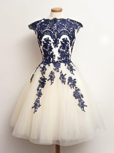 Mini Length Blue And White Damas Dress Tulle Sleeveless Appliques