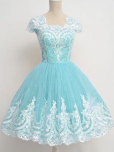 Edgy Aqua Blue Cap Sleeves Tulle Zipper Quinceanera Court Dresses for Prom and Party and Wedding Party