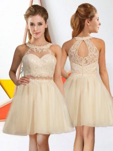 Fashionable Sleeveless Tulle Knee Length Zipper Dama Dress in Champagne with Lace