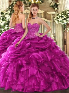 Eye-catching Organza Sleeveless Floor Length Sweet 16 Quinceanera Dress and Beading and Ruffles and Pick Ups