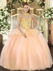 Dramatic Sleeveless Floor Length Embroidery Lace Up Vestidos de Quinceanera with Peach