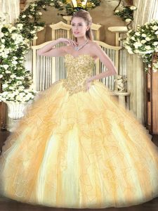 Elegant Ball Gowns Sweet 16 Quinceanera Dress Champagne Sweetheart Organza Sleeveless Floor Length Lace Up