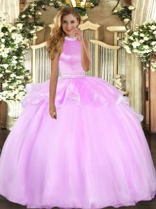 Floor Length Ball Gowns Sleeveless Lilac Ball Gown Prom Dress Backless