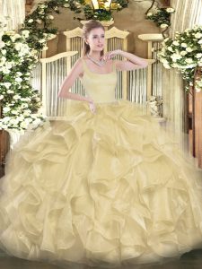 Straps Sleeveless Organza Quinceanera Gown Beading and Ruffles Zipper