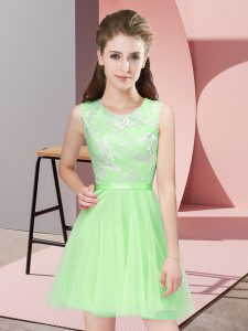 Sleeveless Mini Length Lace Side Zipper Quinceanera Court of Honor Dress with